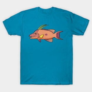 Hogfish T-Shirt